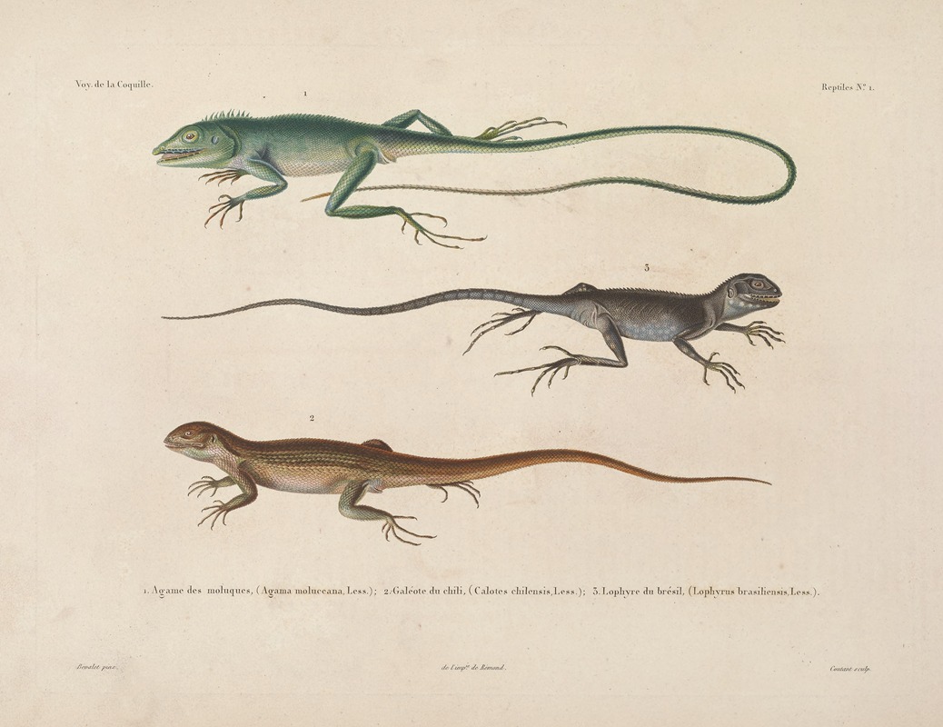 Voyage autour du monde Pl.001 — Louis-Isidore Duperrey