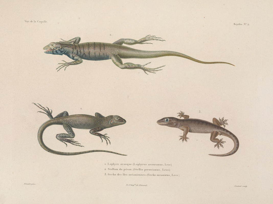Voyage autour du monde Pl.002 — Louis-Isidore Duperrey