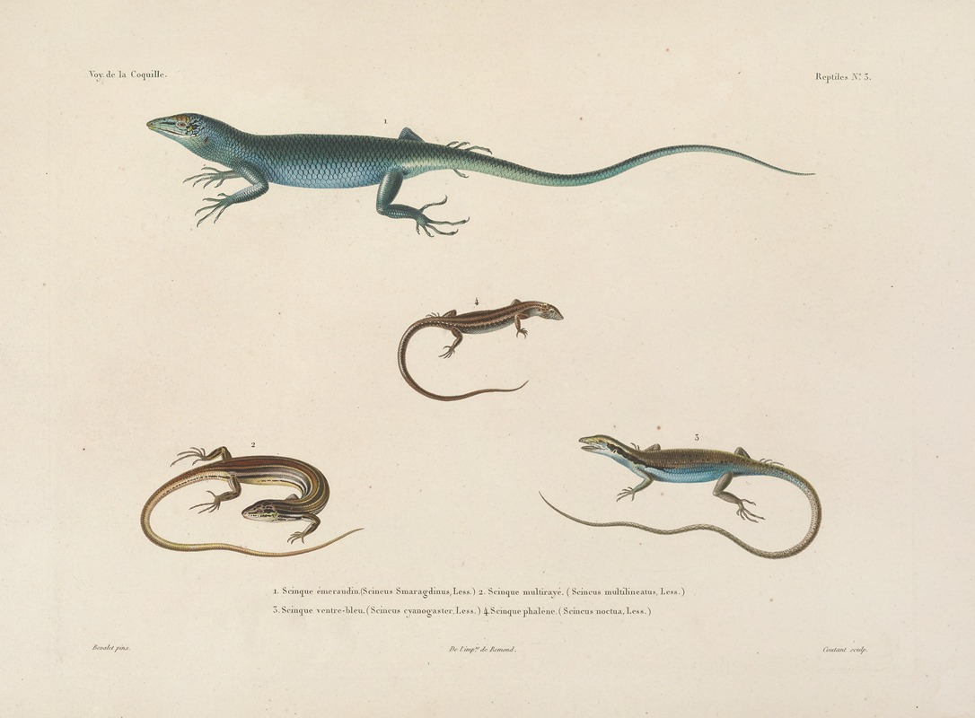Voyage autour du monde Pl.003 — Louis-Isidore Duperrey