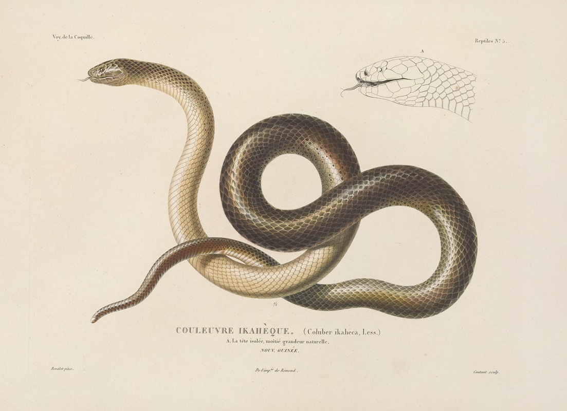Voyage autour du monde Pl.005 — Louis-Isidore Duperrey
