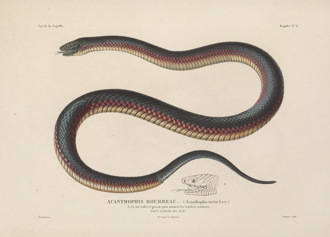 Voyage autour du monde Pl.006 — Louis-Isidore Duperrey