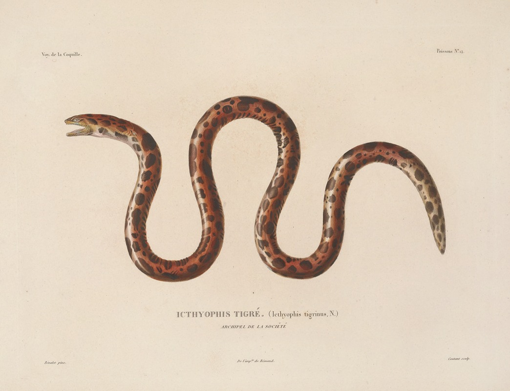 Voyage autour du monde Pl.019 — Louis-Isidore Duperrey