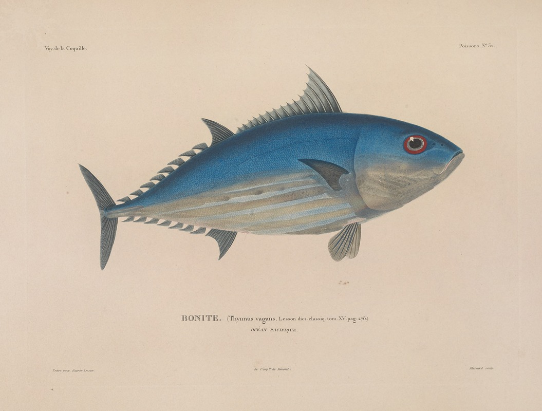 Voyage autour du monde Pl.039 — Louis-Isidore Duperrey