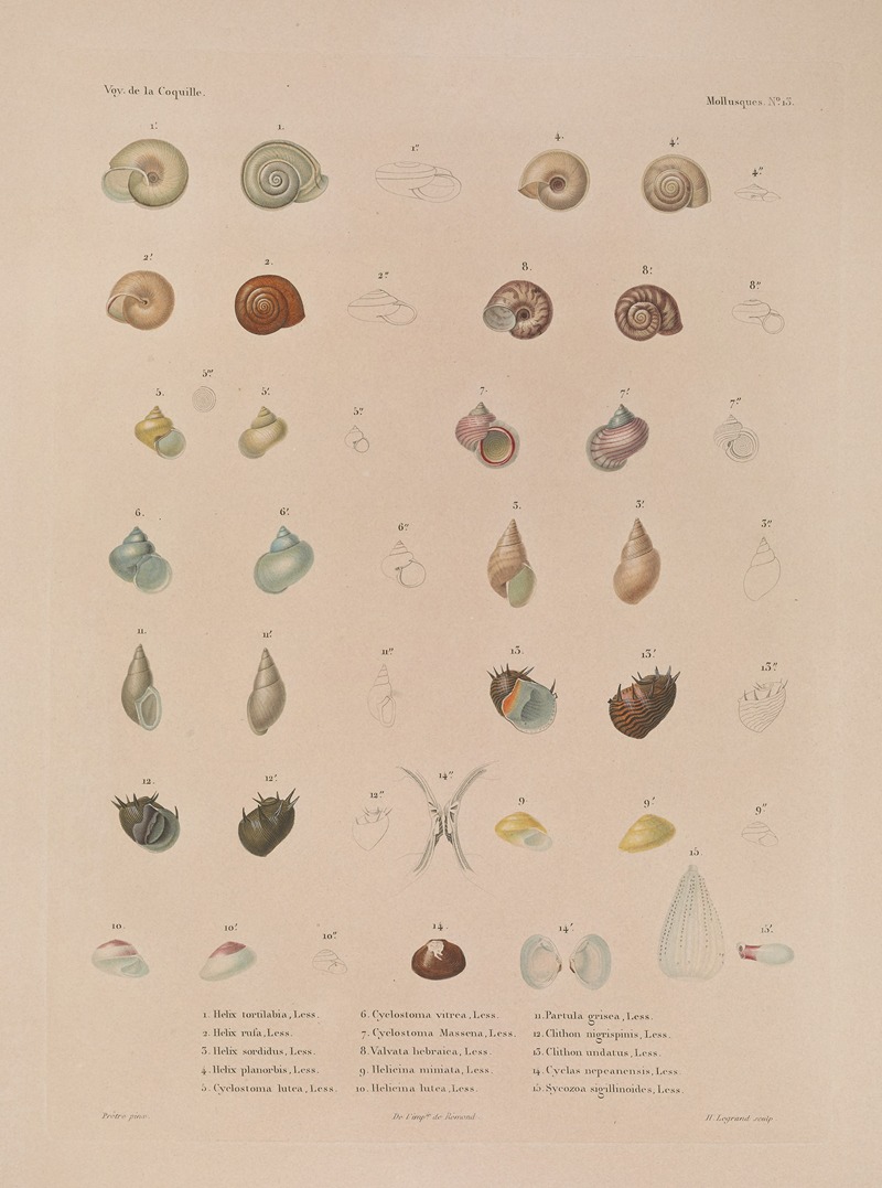 Voyage autour du monde Pl.058 — Louis-Isidore Duperrey