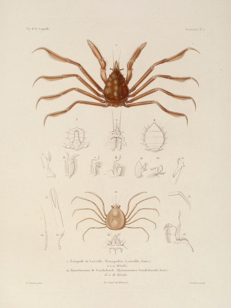 Voyage autour du monde Pl.063 — Louis-Isidore Duperrey
