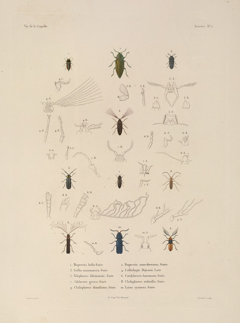 Voyage autour du monde Pl.067 — Louis-Isidore Duperrey