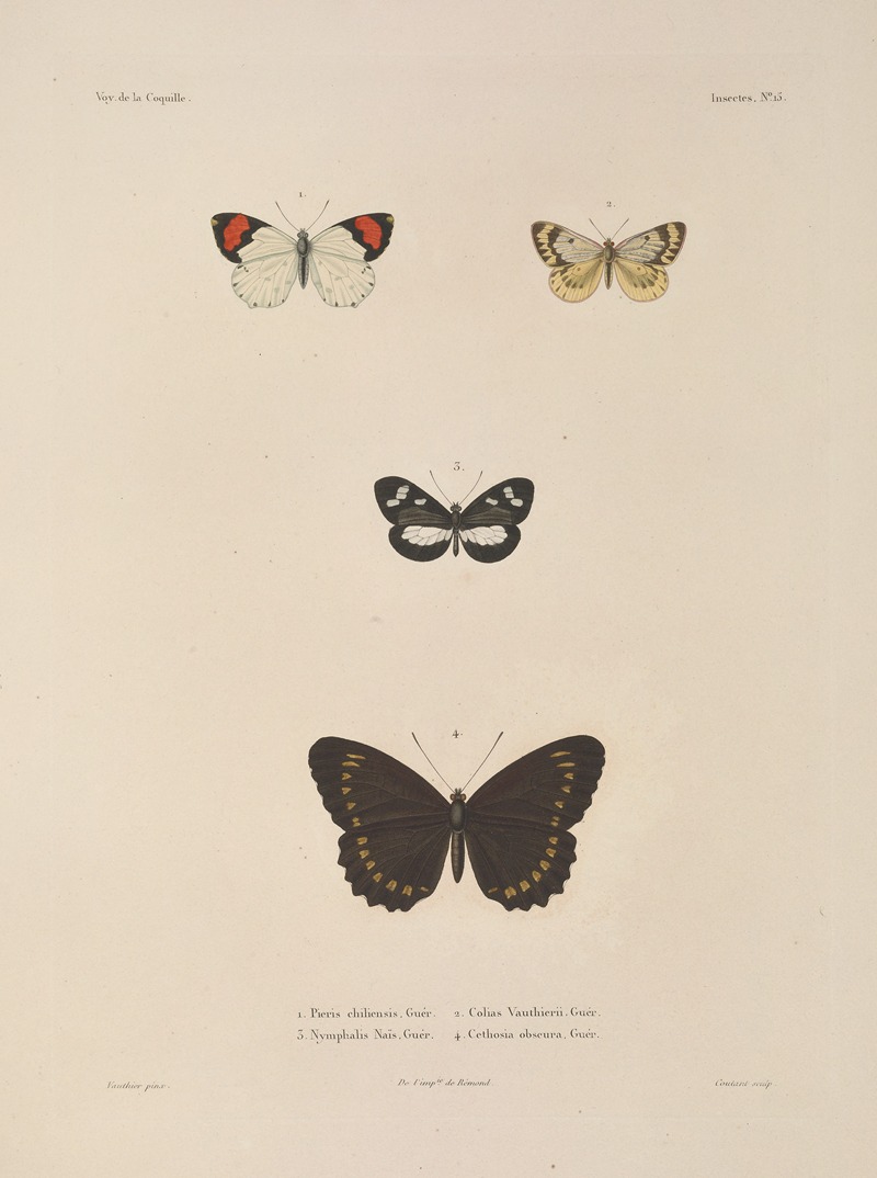 Voyage autour du monde Pl.081 — Louis-Isidore Duperrey