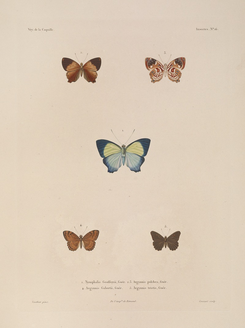 Voyage autour du monde Pl.082 — Louis-Isidore Duperrey