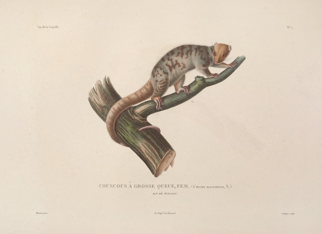 Voyage autour du monde Pl.108 — Louis-Isidore Duperrey
