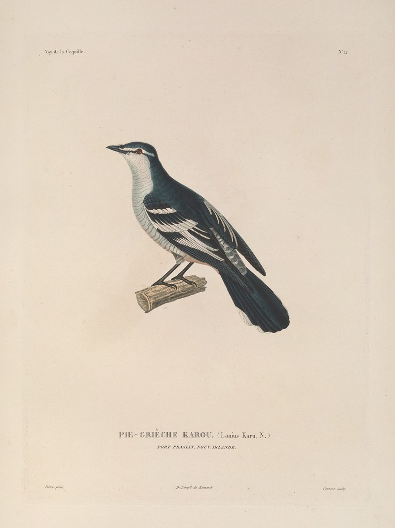Voyage autour du monde Pl.115 — Louis-Isidore Duperrey