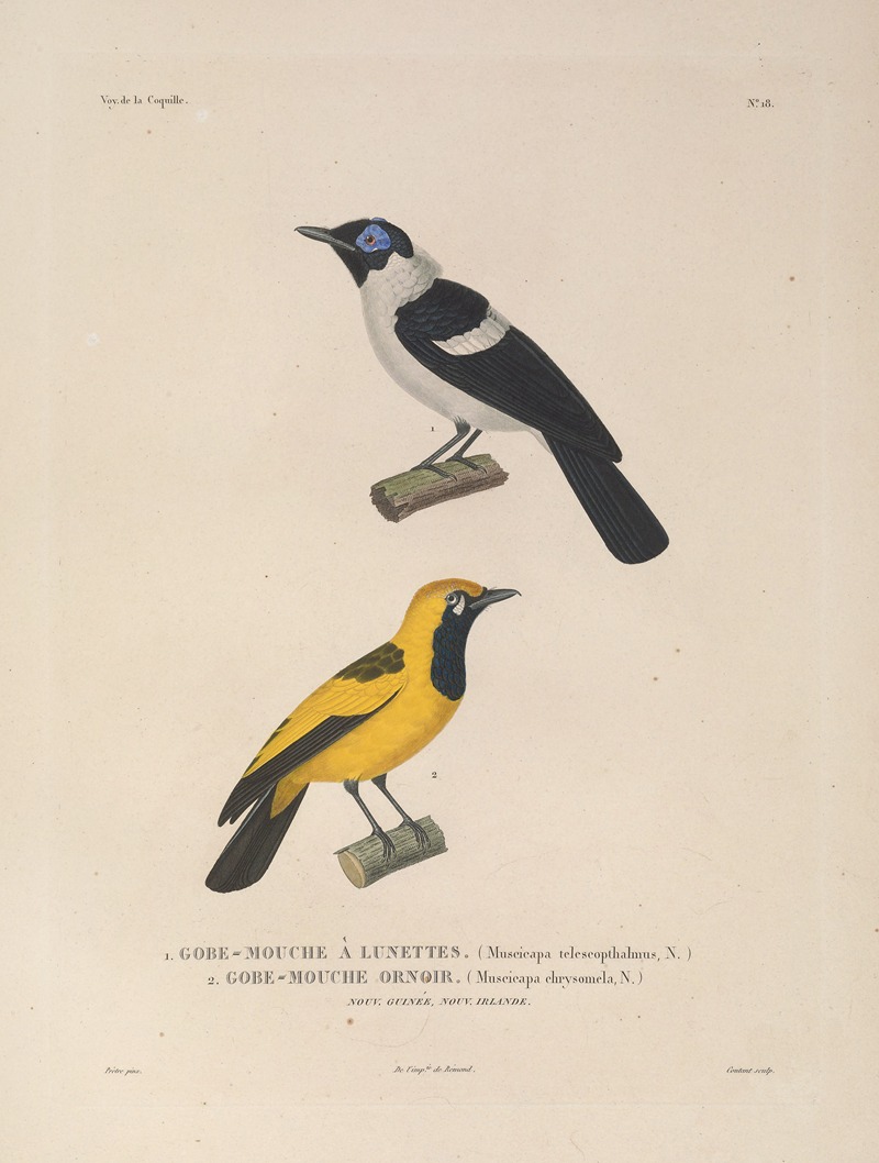 Voyage autour du monde Pl.121 — Louis-Isidore Duperrey