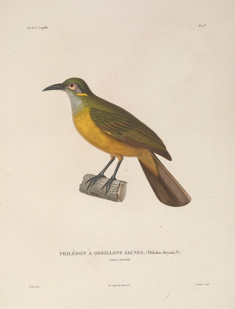 Voyage autour du monde Pl.125 — Louis-Isidore Duperrey
