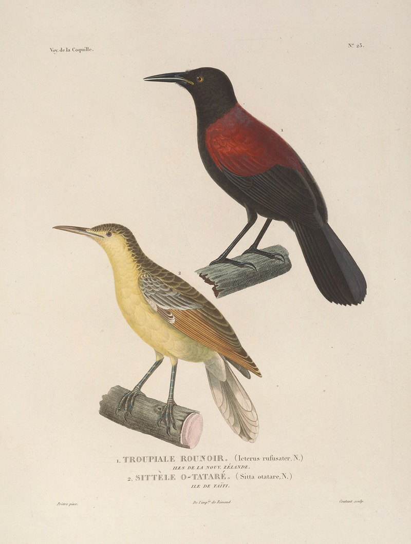 Voyage autour du monde Pl.127 — Louis-Isidore Duperrey