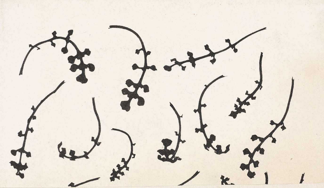 Root rosettes of the cuckoo flower — Julie de Graag
