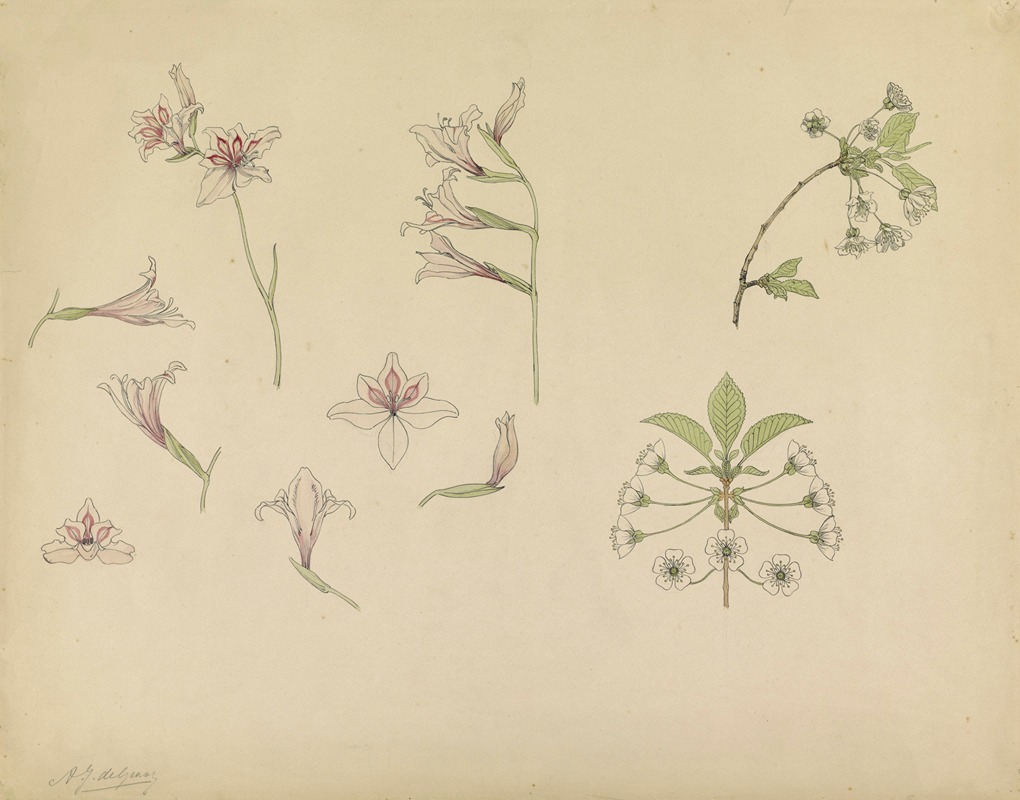 Study sheet with gladioli and apple blossom by Джули де Грааг — digital art print download