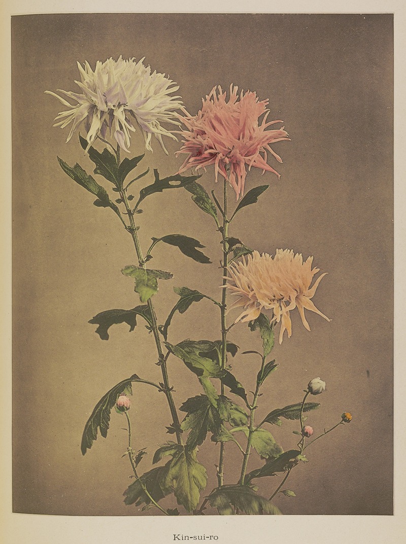 Kin-sui-ro by Kazumasa Ogawa, 1896 — digital art print download