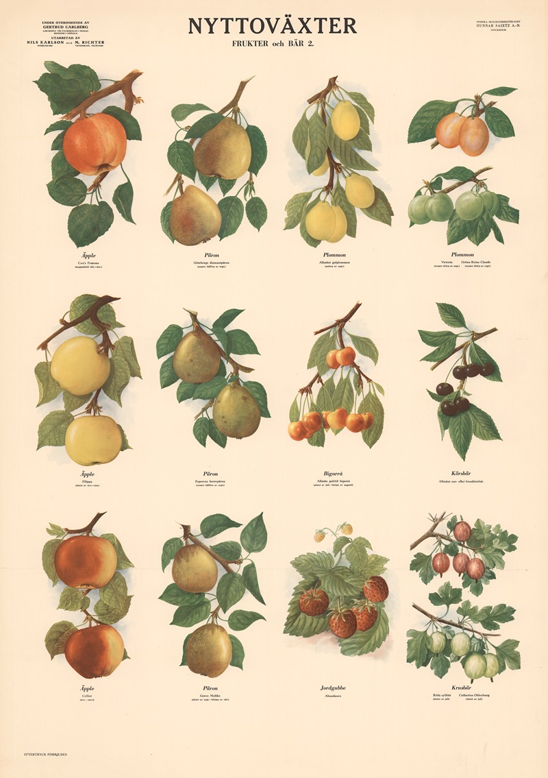 Fruits and berries by Макс Рихтер, 1956 — digital art print download