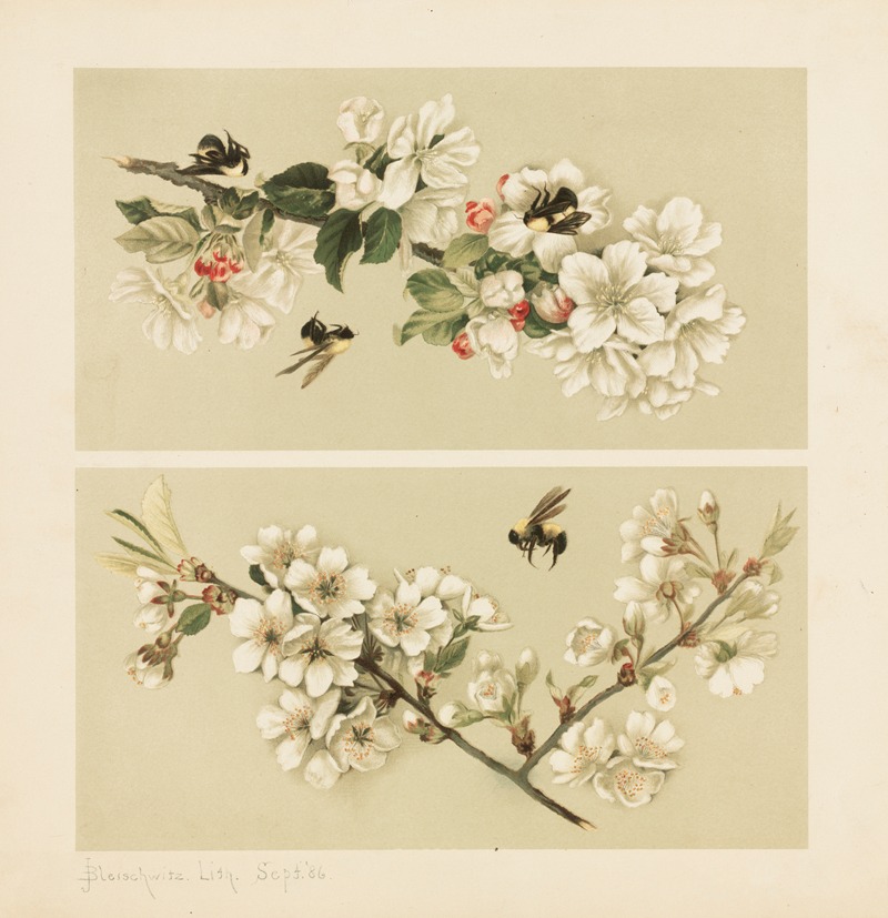 Cherry blossoms and bees, Apple-blossoms and bees — Olive E Whitney