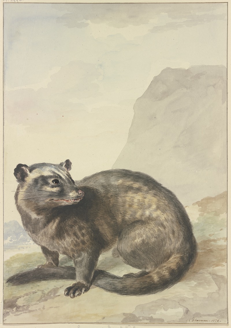 Een vreemde Levet-Kat by Аерт Шоуман, 1776 — digital art print download