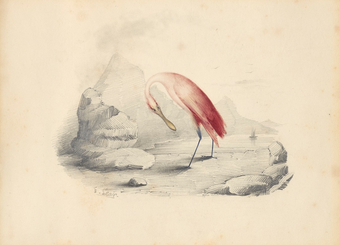 A flamingo by Эдвард Лир — digital art print download