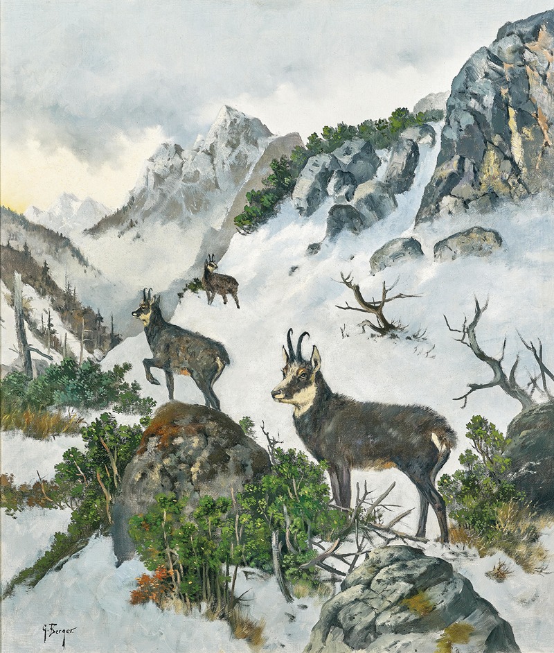 Chamois High in the Mountains by Георг Бергер — digital art print download
