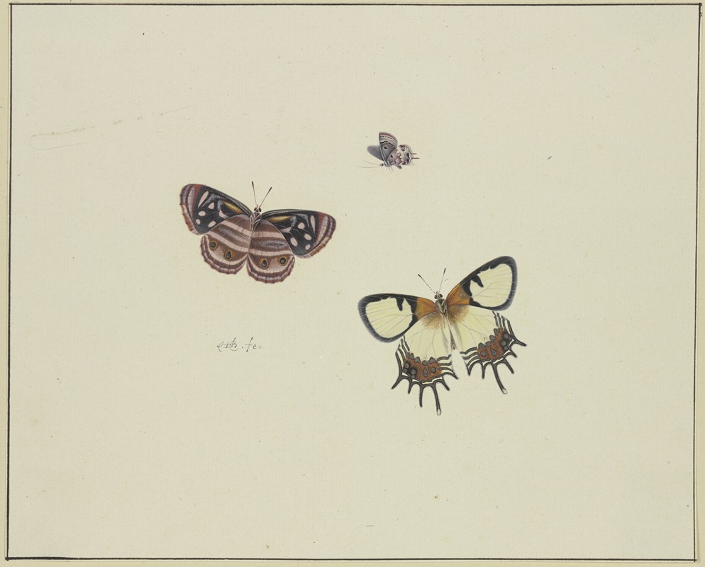 Three butterflies by Herman Henstenburgh — digital art print download