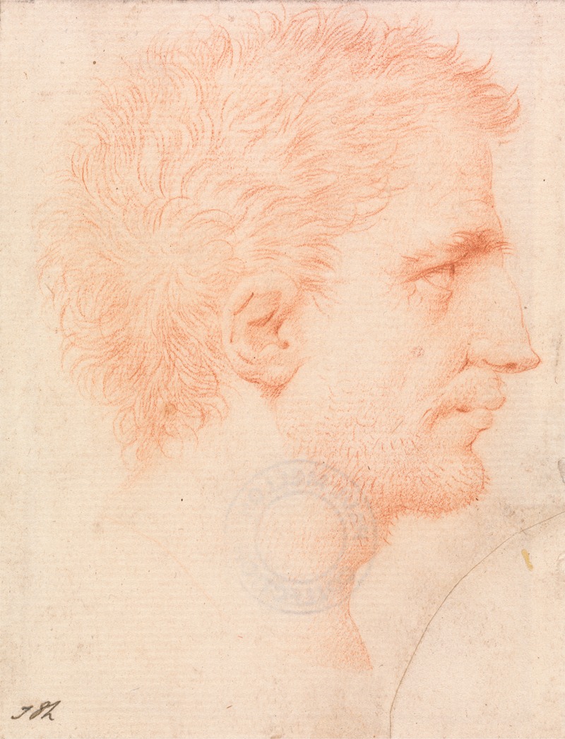 Head of a Man with Stubble Beard, Facing Right — Giles Hussey