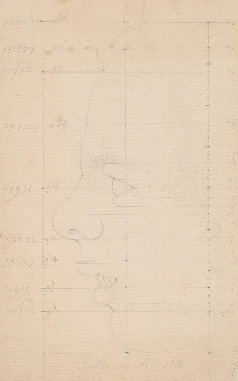 Study of physiognomy of face — Giles Hussey