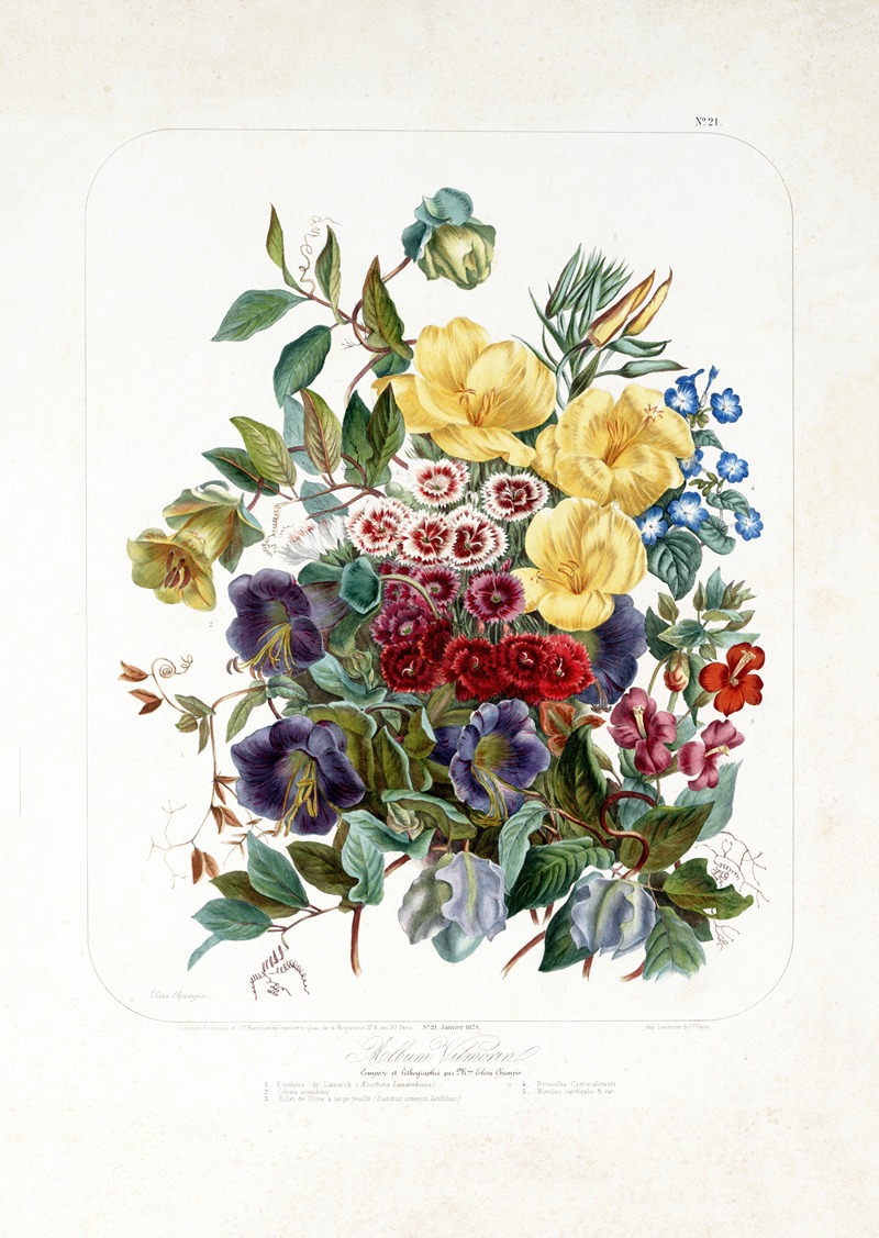 boeket by Vilmorin-Andrieux et Cie, 1871 — digital art print download