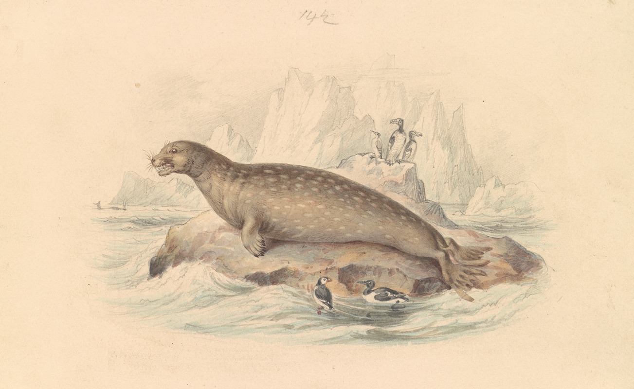 The Leopard Seal by James Stewart — digital art print download