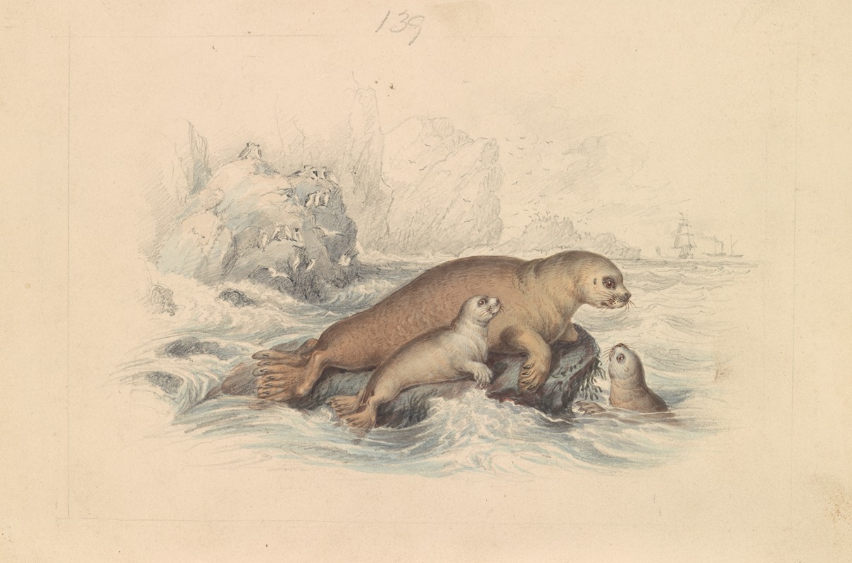 The Steller Sea Lion — James Stewart