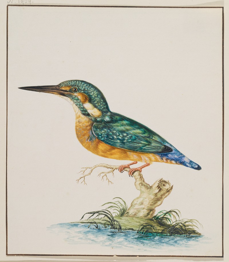 A Kingfisher by Иоганн Людвиг Эрнст Морганштерн — digital art print download