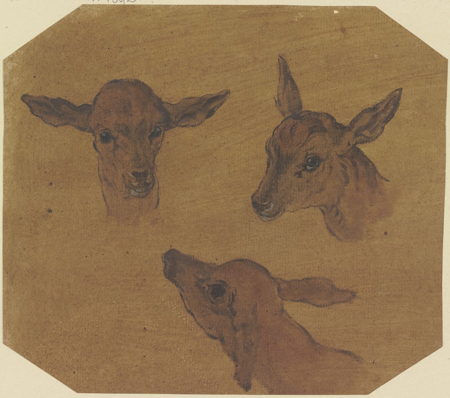 Three doe heads by Иоганн Мельхиор Роос — digital art print download