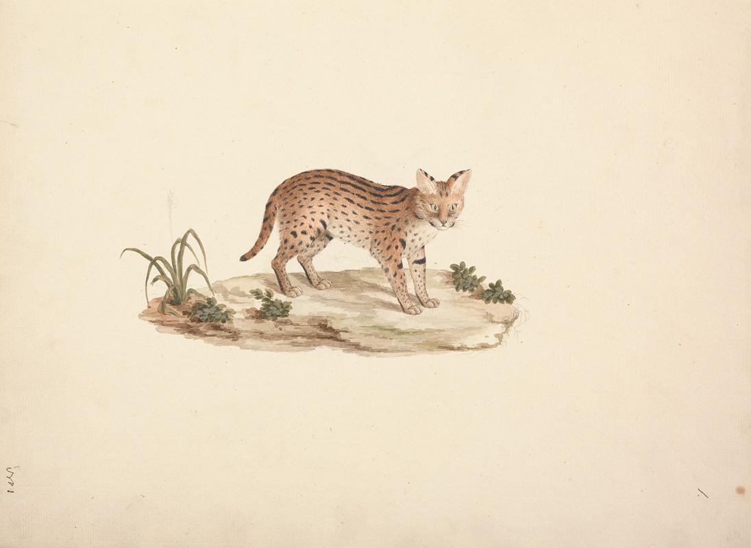 African Wildcat or Serval by Luigi Balugani — digital art print download