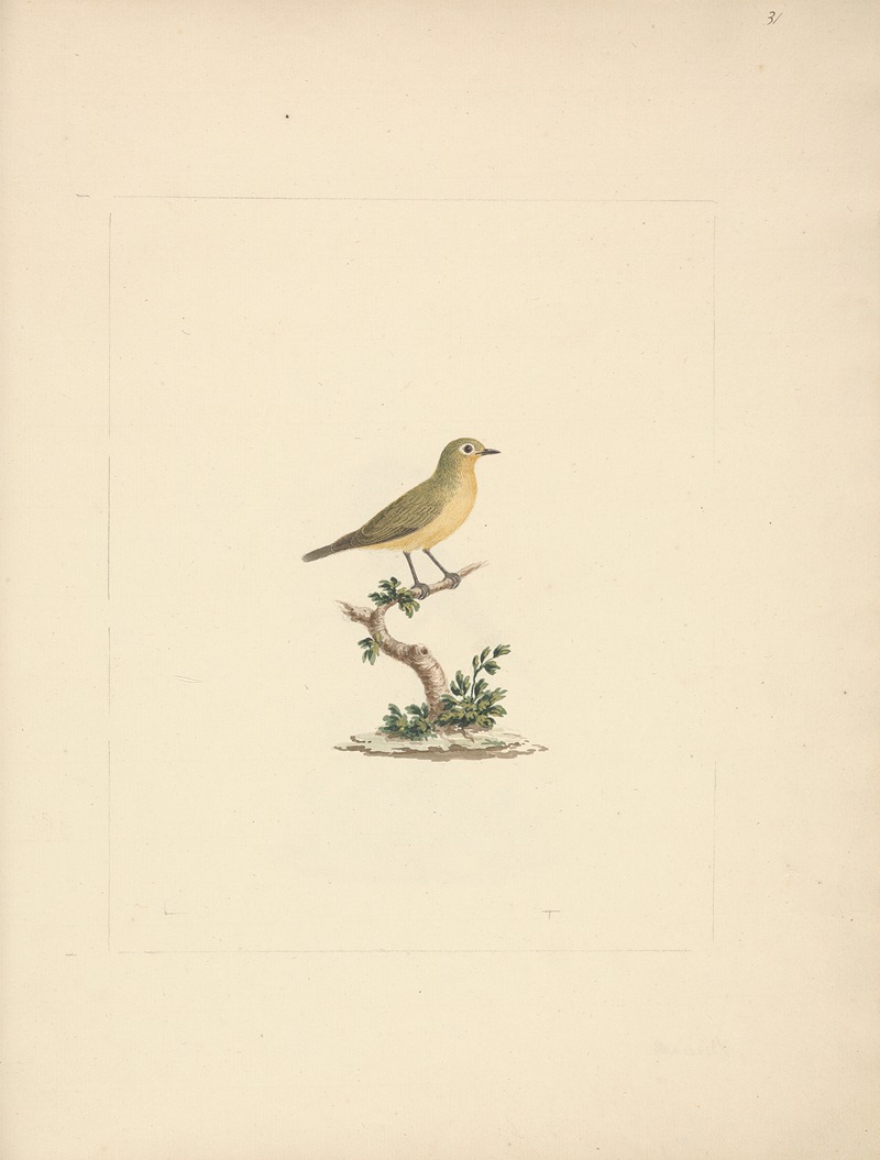 Unidentified Bird by Luigi Balugani — digital art print download