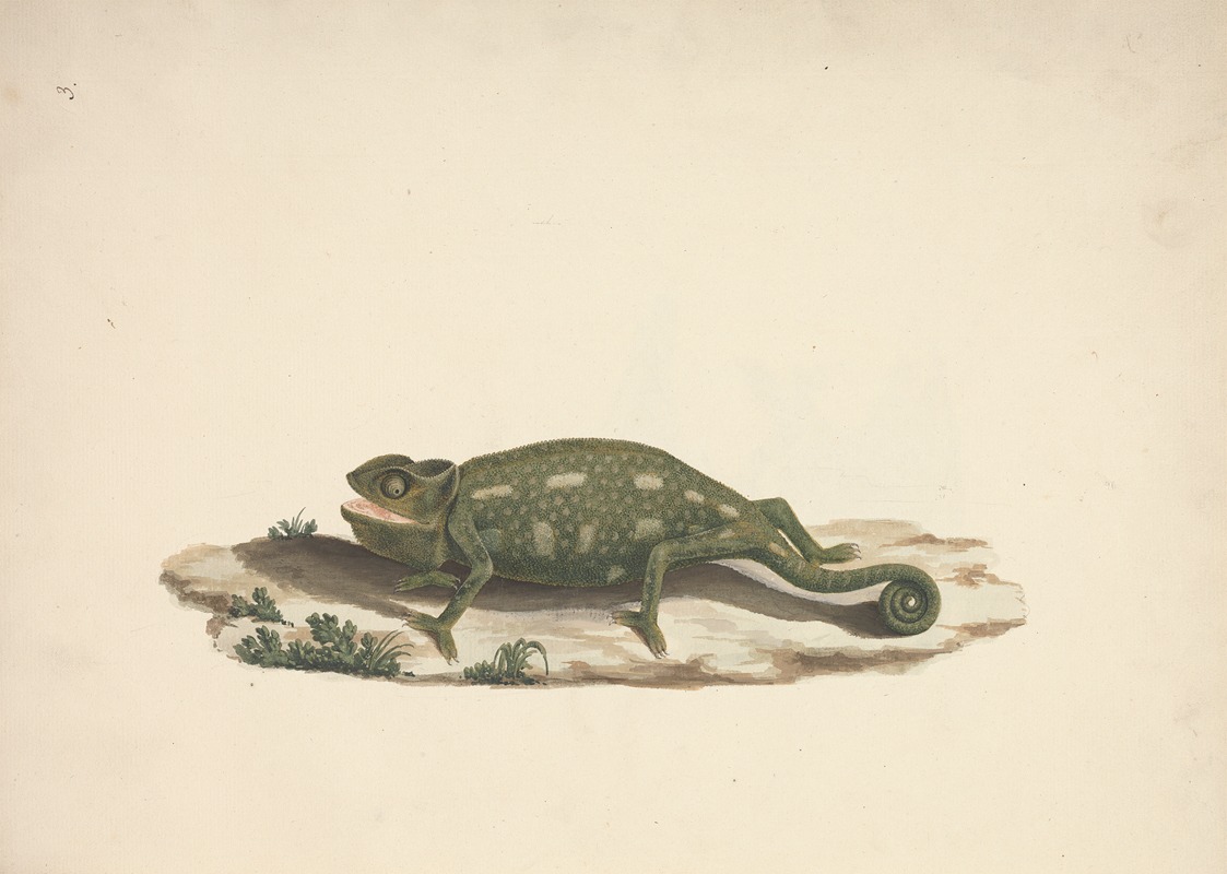 Unidentified Chameleon by Luigi Balugani — digital art print download