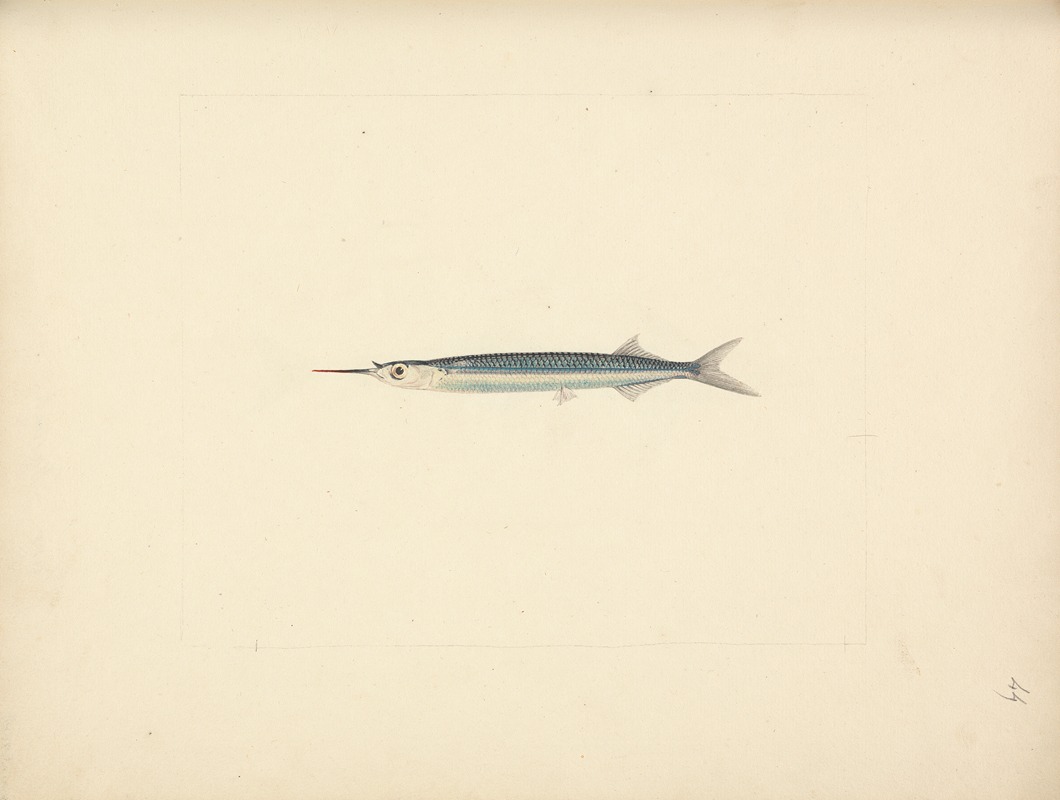 Unidentified Fish by Luigi Balugani — digital art print download