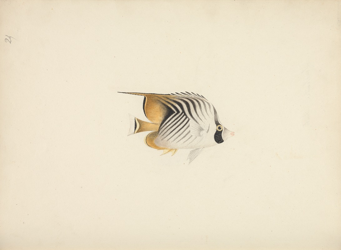 Unidentified Fish by Luigi Balugani — digital art print download