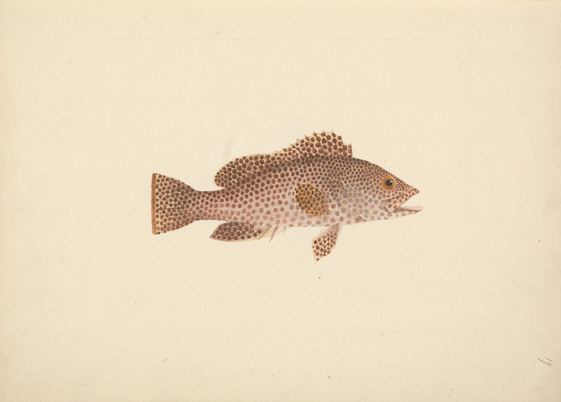 Unidentified Fish by Luigi Balugani — digital art print download