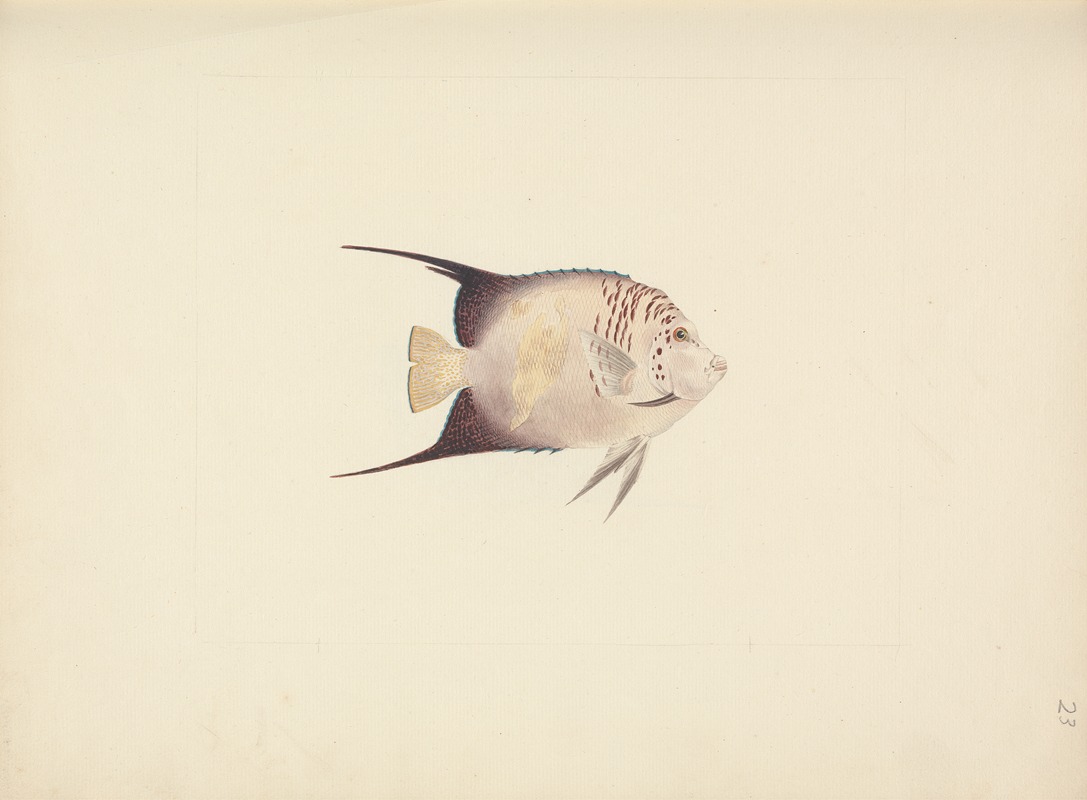 Unidentified Fish by Luigi Balugani — digital art print download