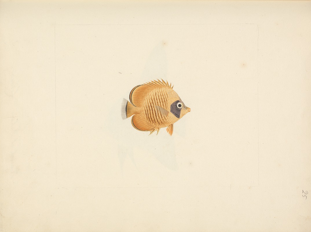Unidentified Fish by Luigi Balugani — digital art print download