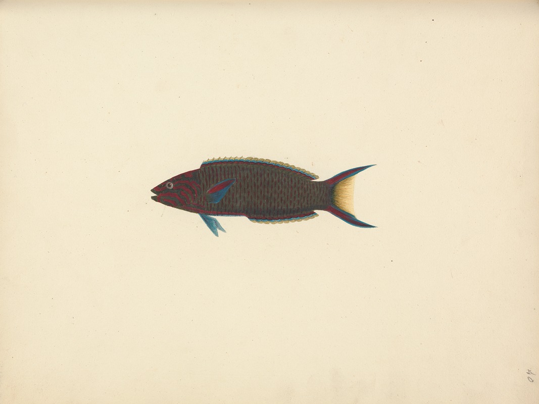 Unidentified Fish by Luigi Balugani — digital art print download