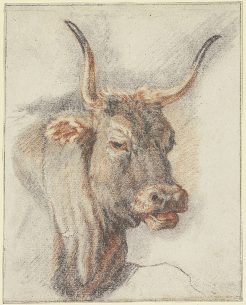 An ox head by Паулус Поттер — digital art print download