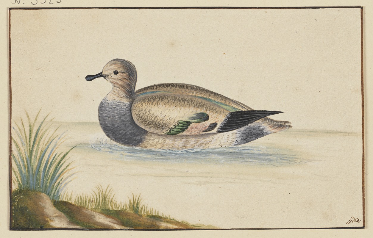 Duck to the left by Pieter Holsteijn — digital art print download
