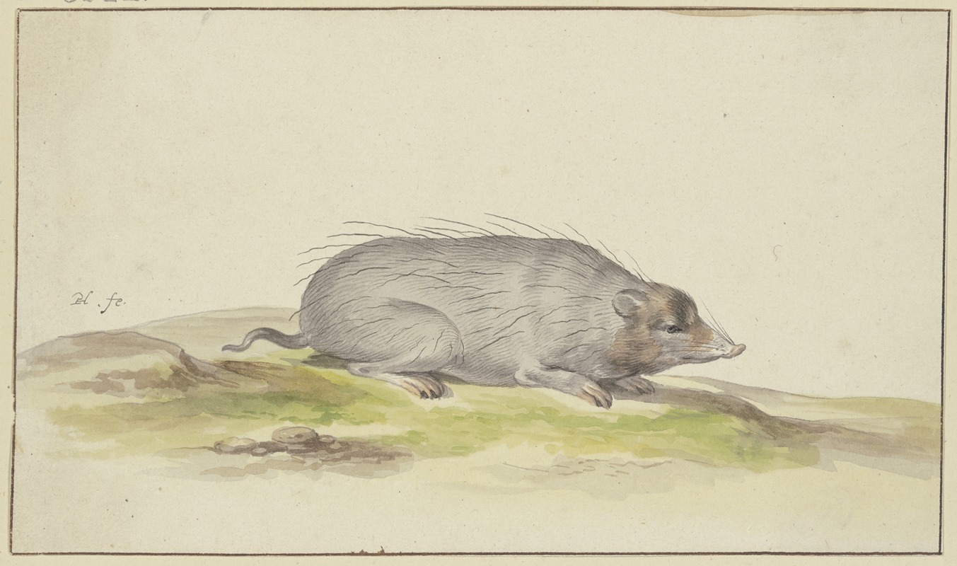 Mole to the right by Pieter Holsteijn — digital art print download