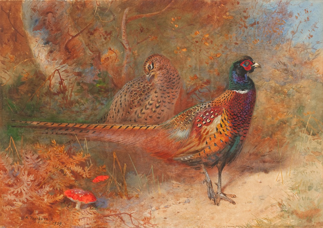 A cock and hen pheasant by Арчибальд Торберн, 1929 — digital art print download