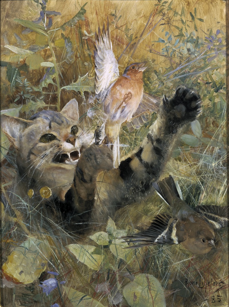 A Cat and a Chaffinch by Bruno Liljefors, 1885 — digital art print download