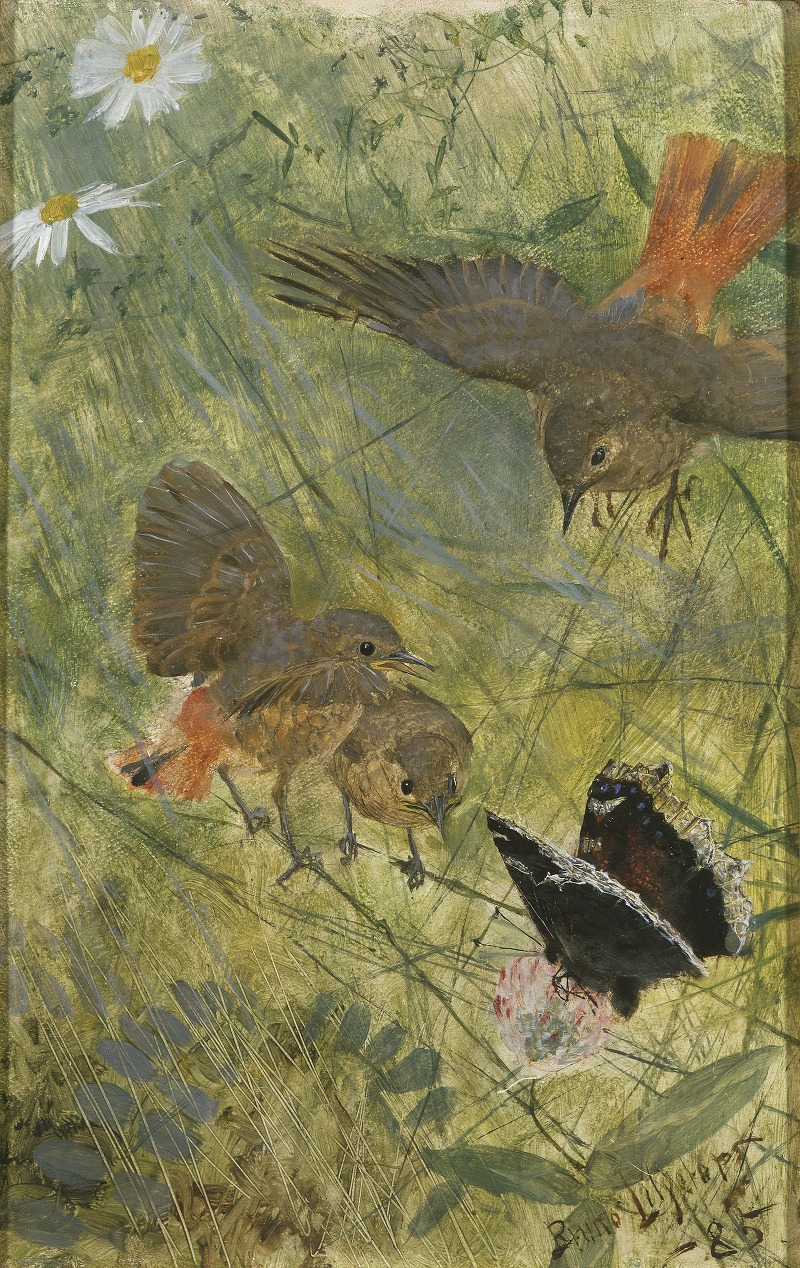 Redstarts and Butterflies by Бруно Лильефорс, 1885 — digital art print download