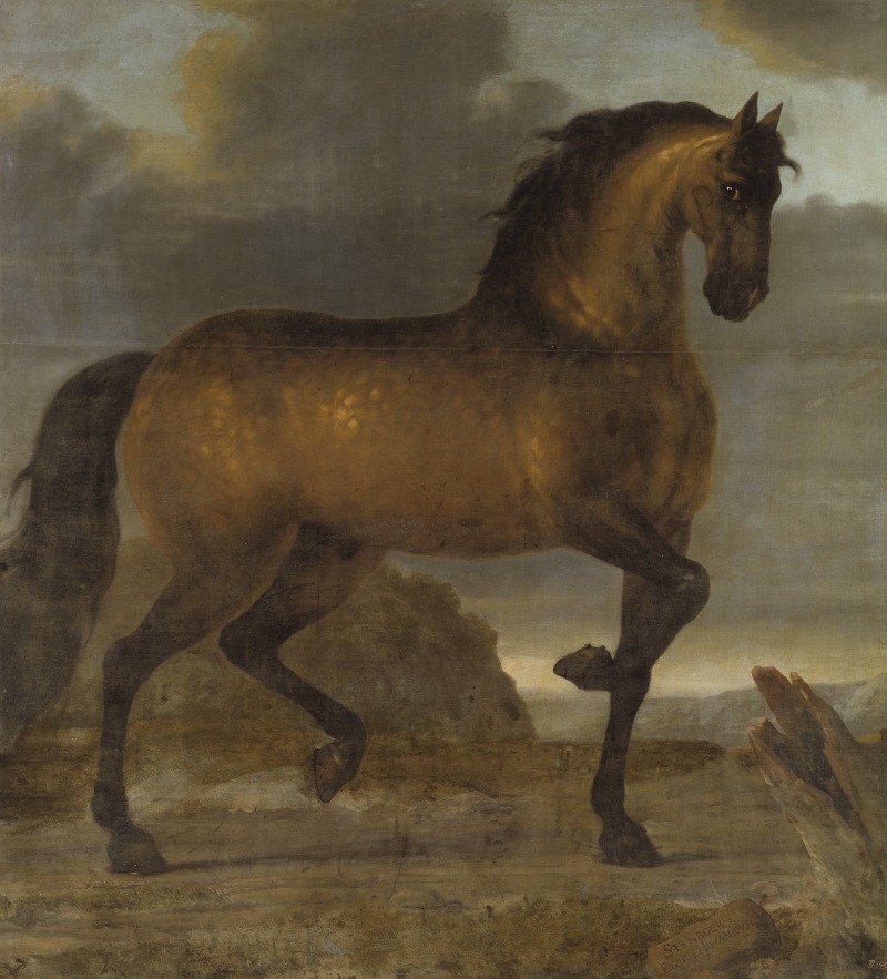 Karl XI's livhäst Stenbock — Давид Клёкер Эренштраль