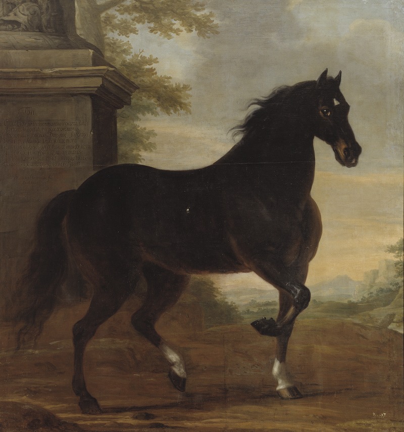 Karl XI's livhäst Tott — David Klöcker Ehrenstrahl